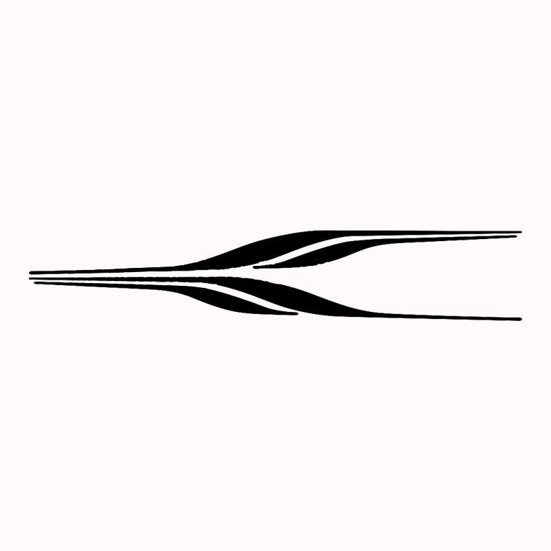 מדבקת רכב 2 פסים שחור 1